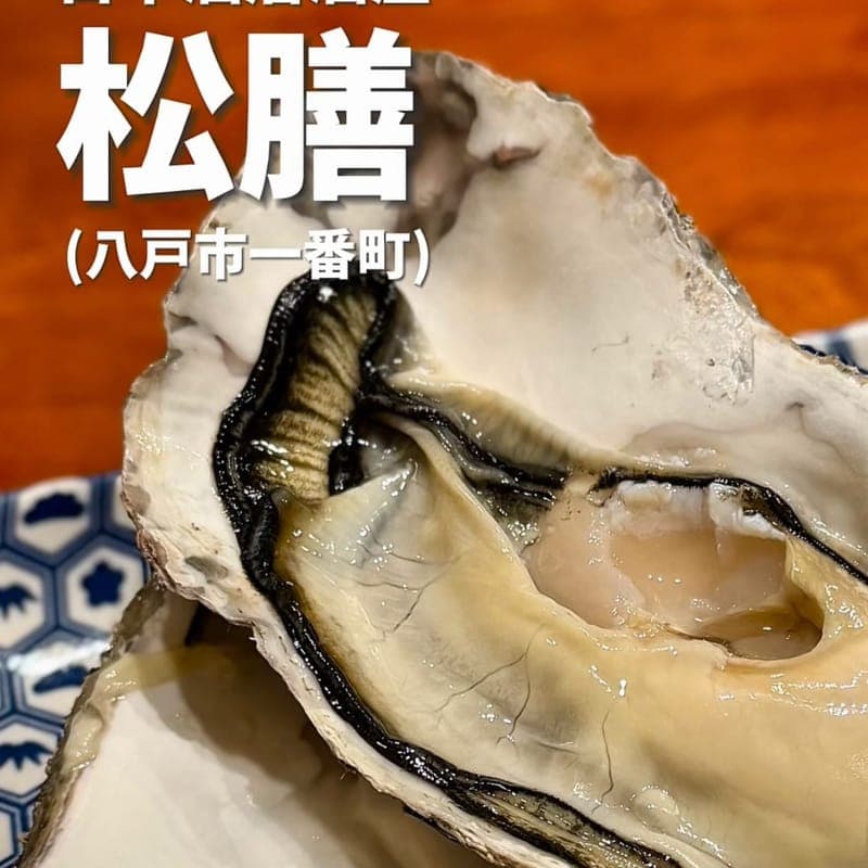 日本酒居酒屋 松膳の訪問時の写真