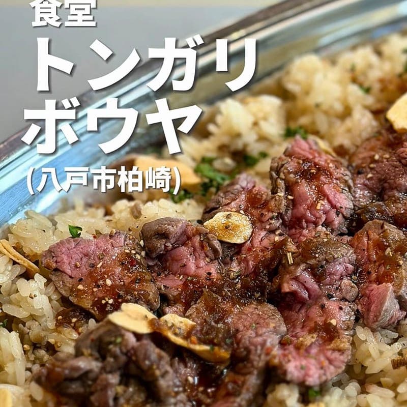 食堂トンガリボウヤの訪問時の写真
